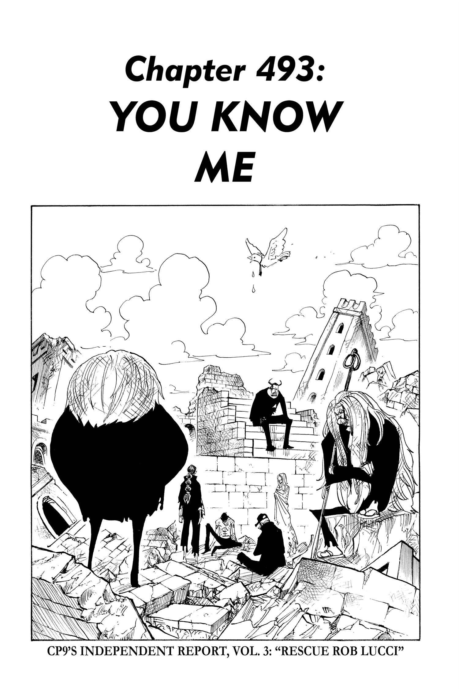 One Piece, Chapter 493 image 01